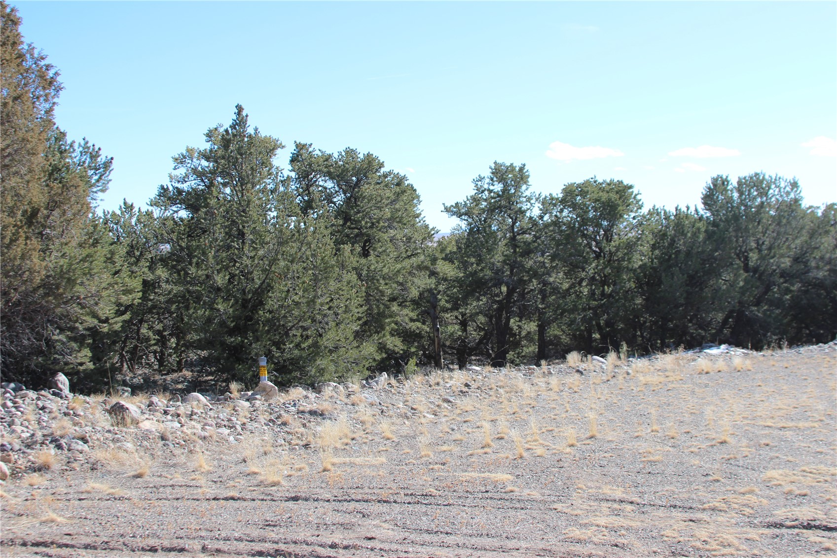 2698-2702 Holiday Way Other CO 81131