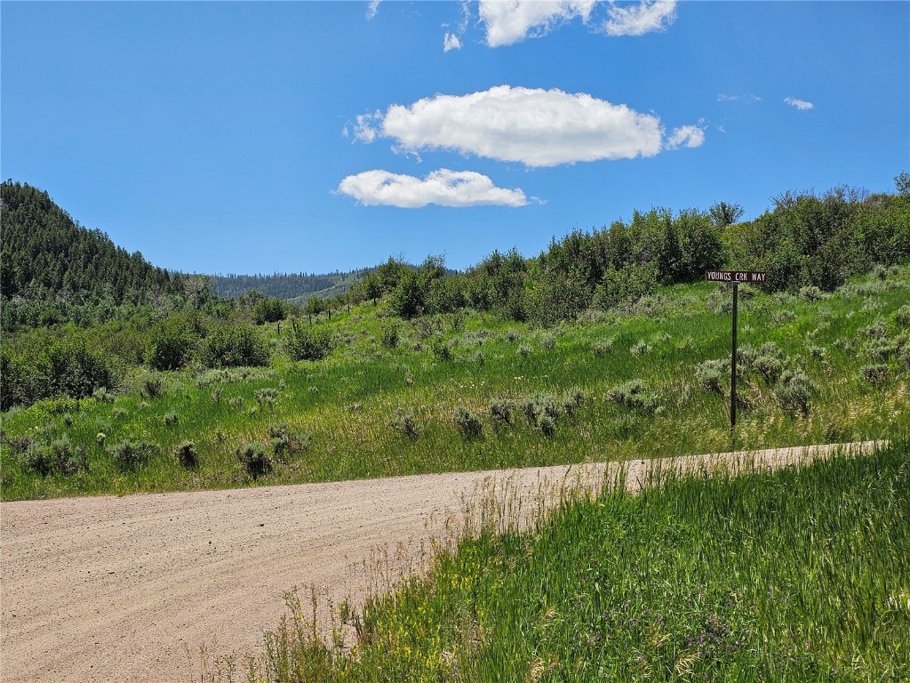 06 Youngs Creek Way Oak Creek CO 80467