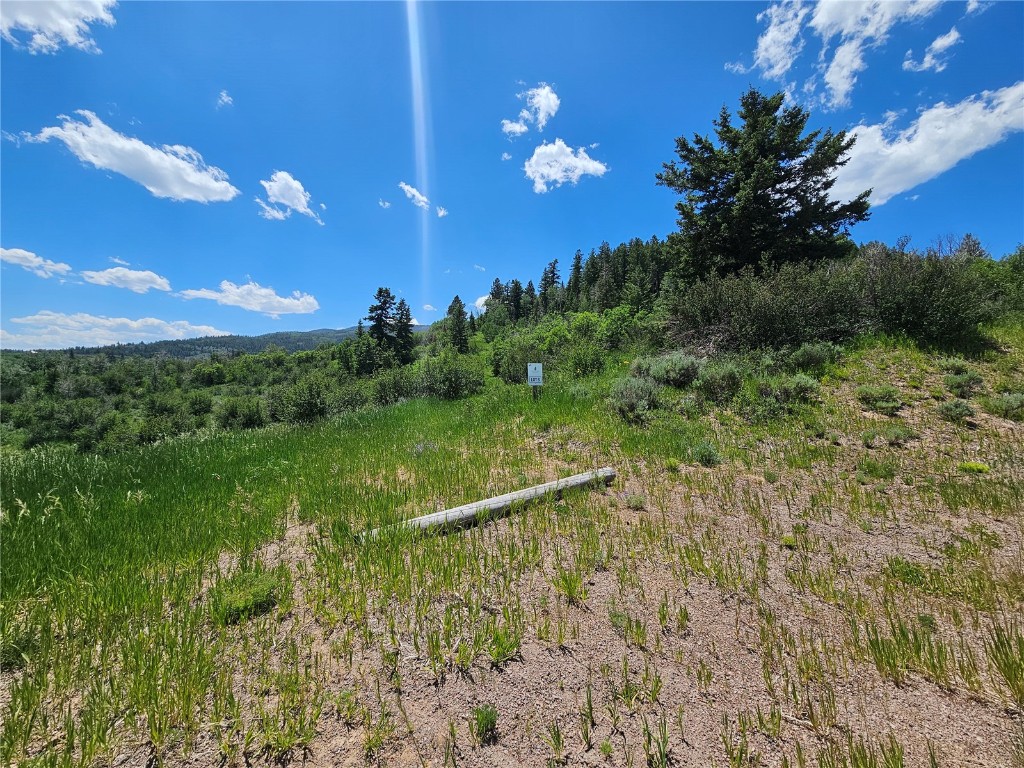 06 Youngs Creek Way Oak Creek CO 80467