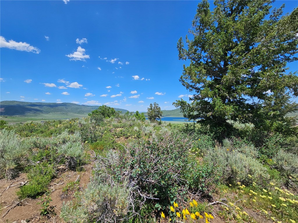 06 Youngs Creek Way Oak Creek CO 80467