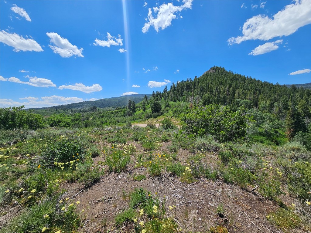 06 Youngs Creek Way Oak Creek CO 80467