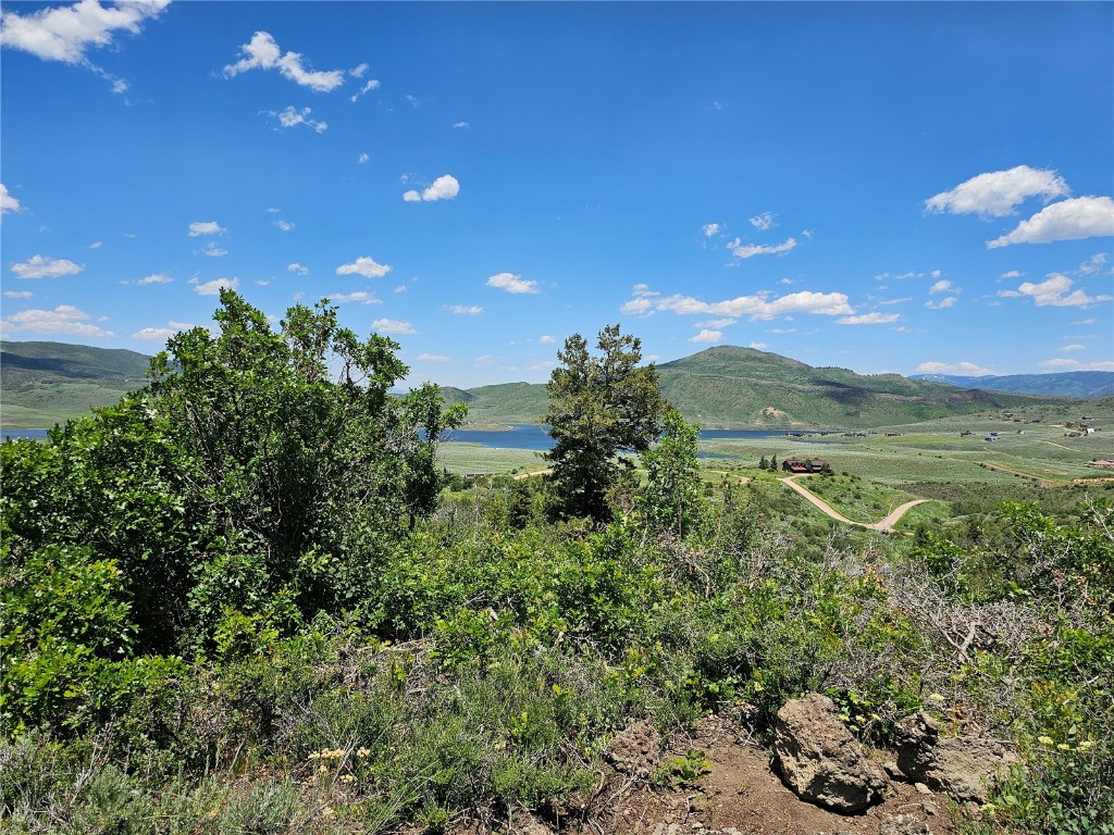 06 Youngs Creek Way Oak Creek CO 80467