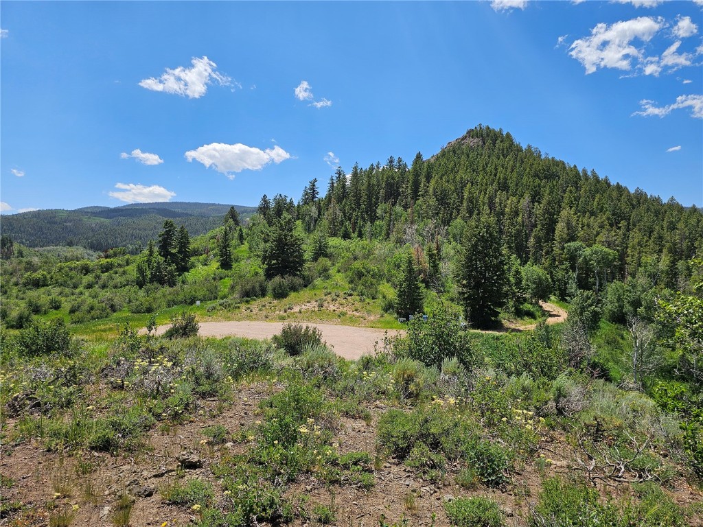 06 Youngs Creek Way Oak Creek CO 80467