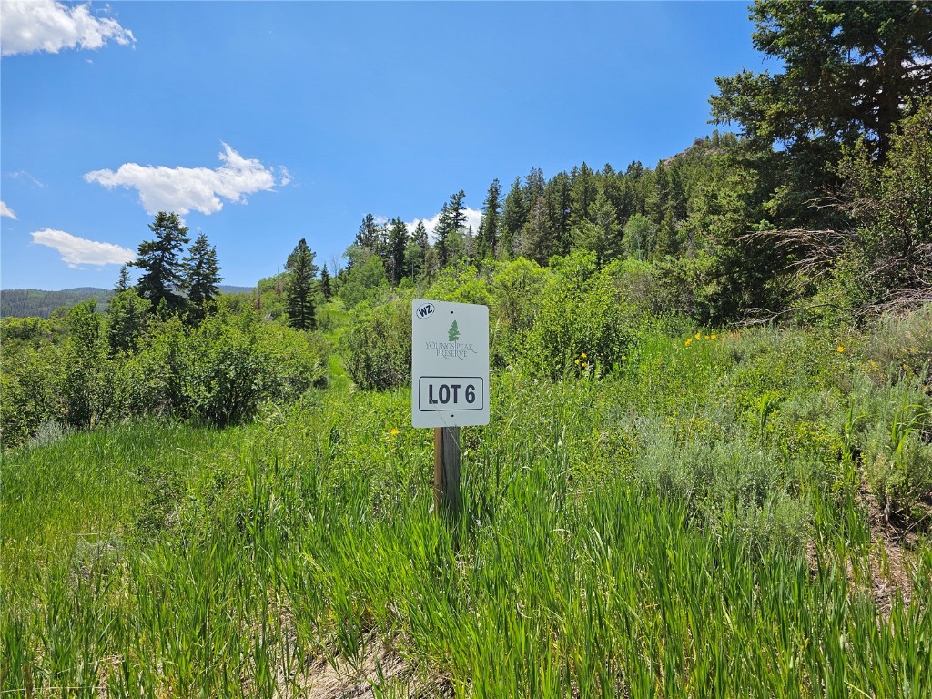 06 Youngs Creek Way Oak Creek CO 80467