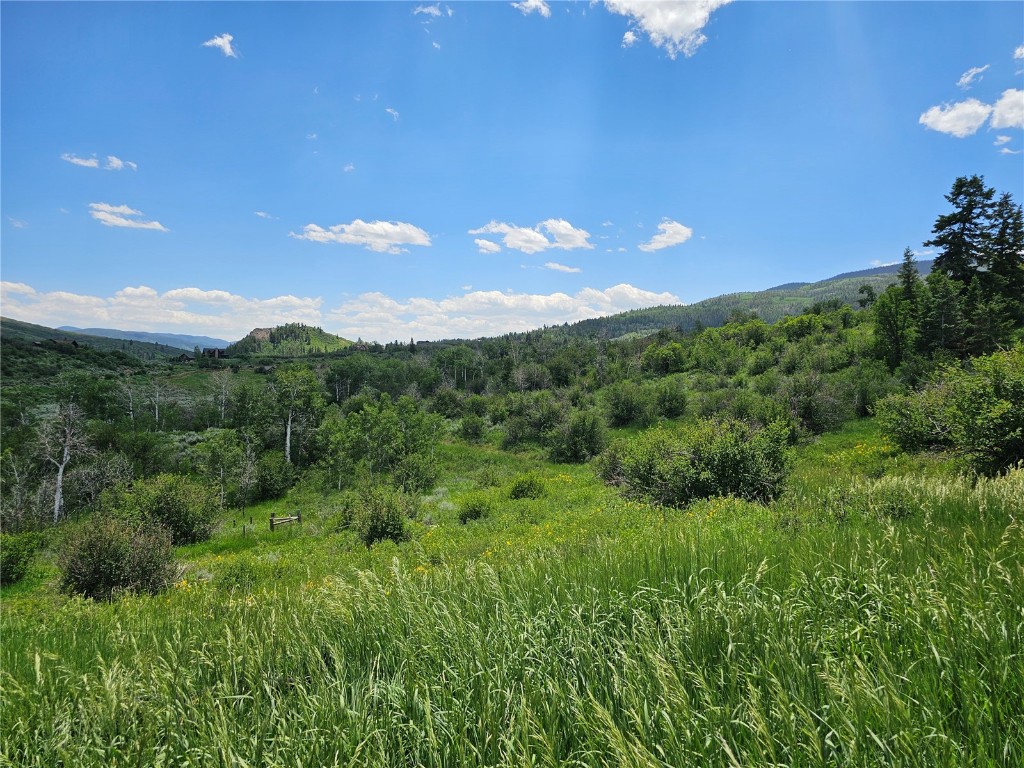 06 Youngs Creek Way Oak Creek CO 80467