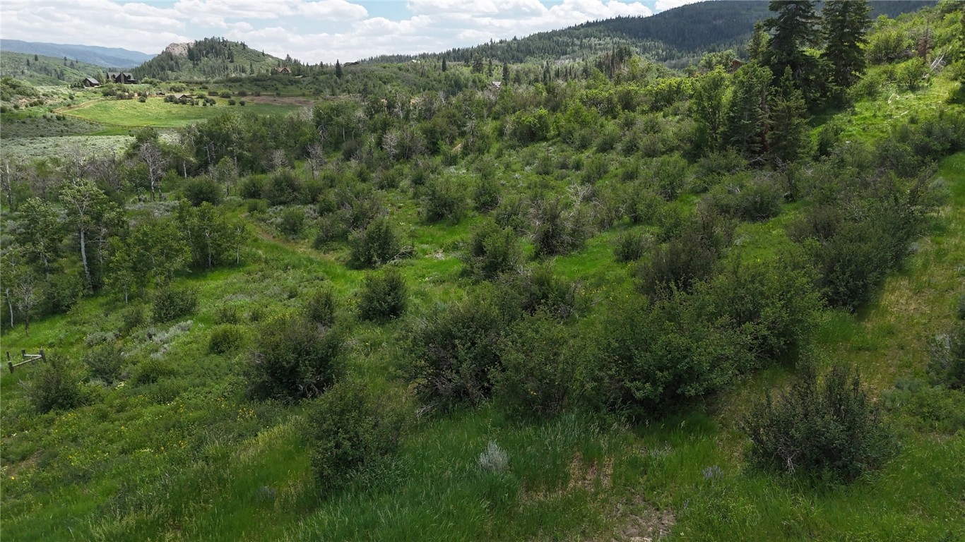 06 Youngs Creek Way Oak Creek CO 80467