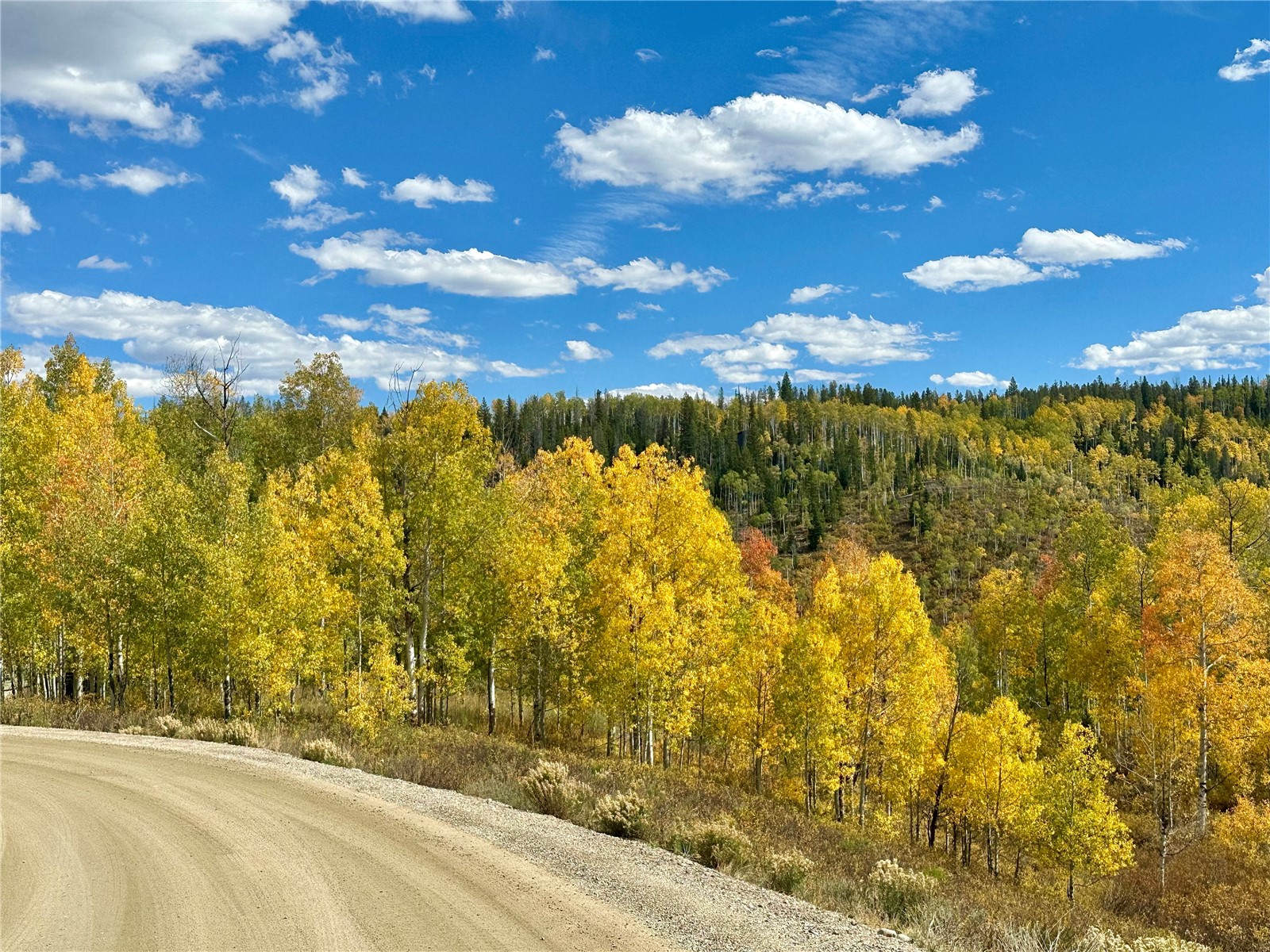 26925 Beaver Canyon Drive Clark CO 80428