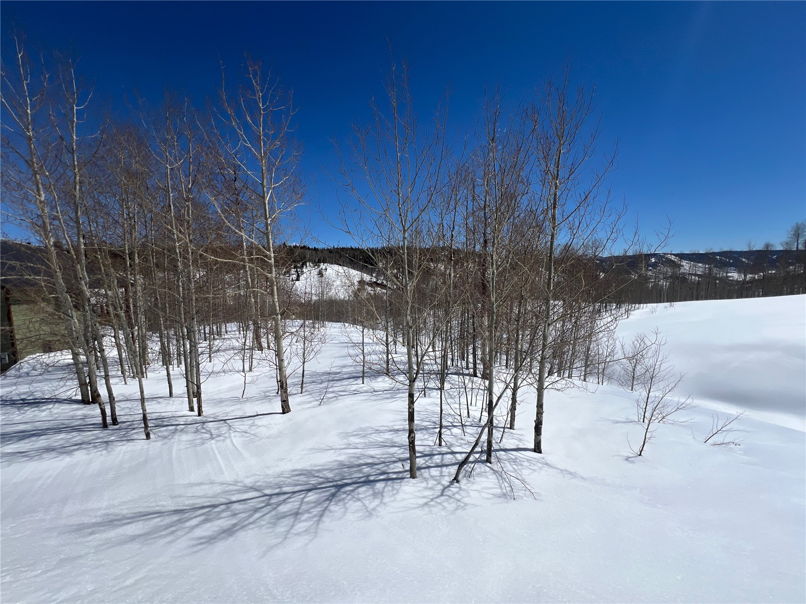 26925 Beaver Canyon Drive Clark CO 80428