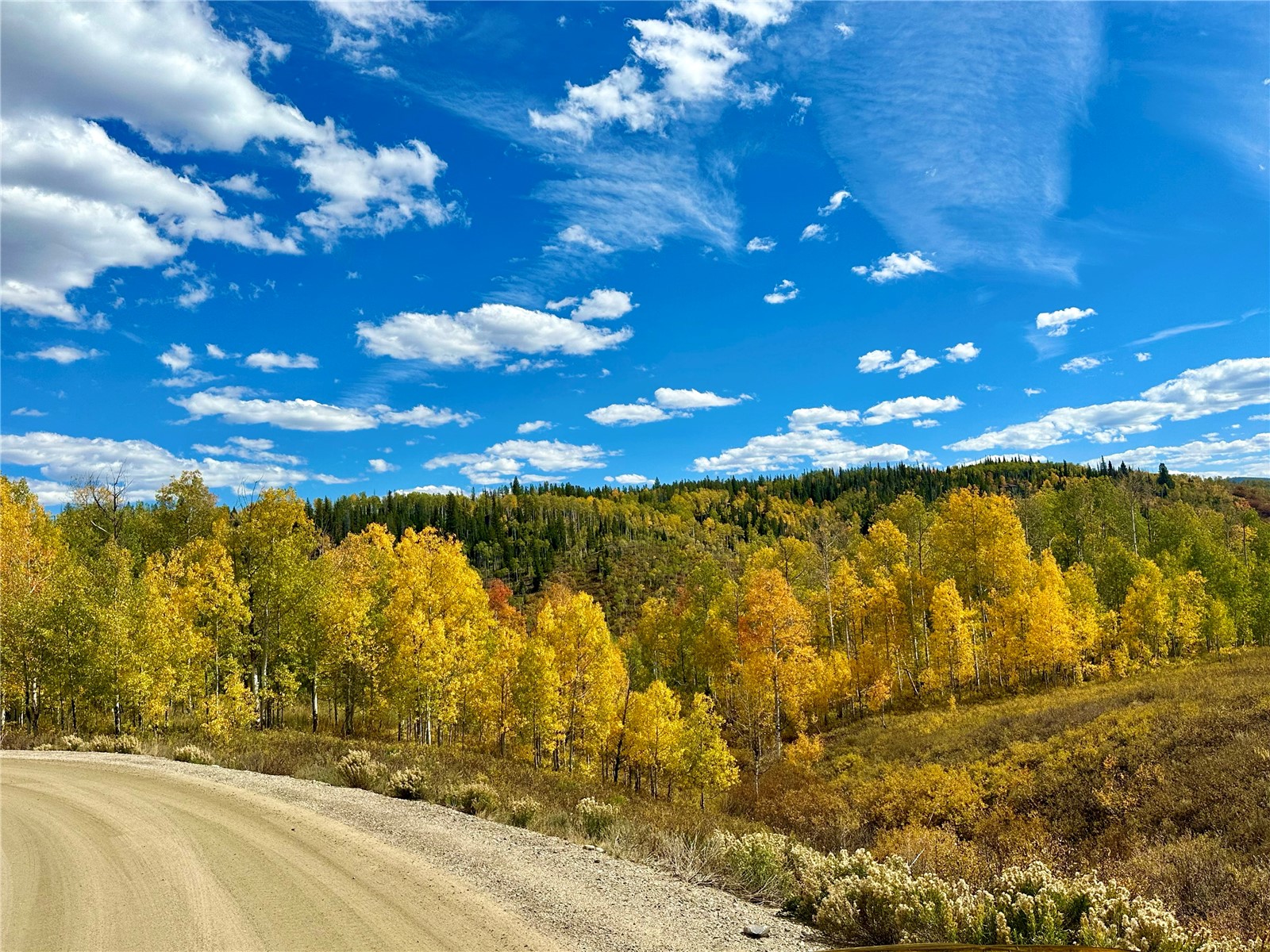 26925 Beaver Canyon Drive Clark CO 80428