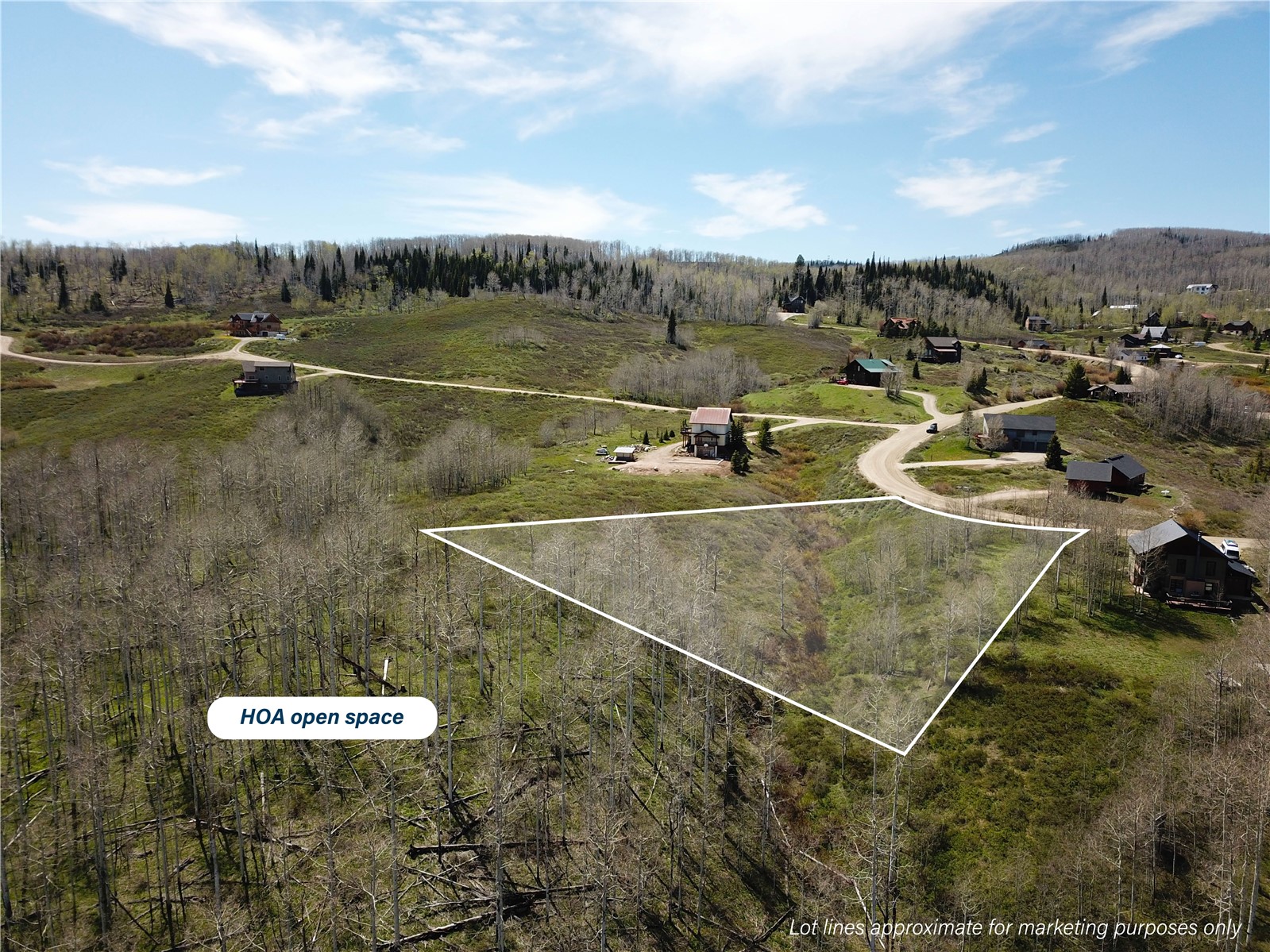 26925 Beaver Canyon Drive Clark CO 80428