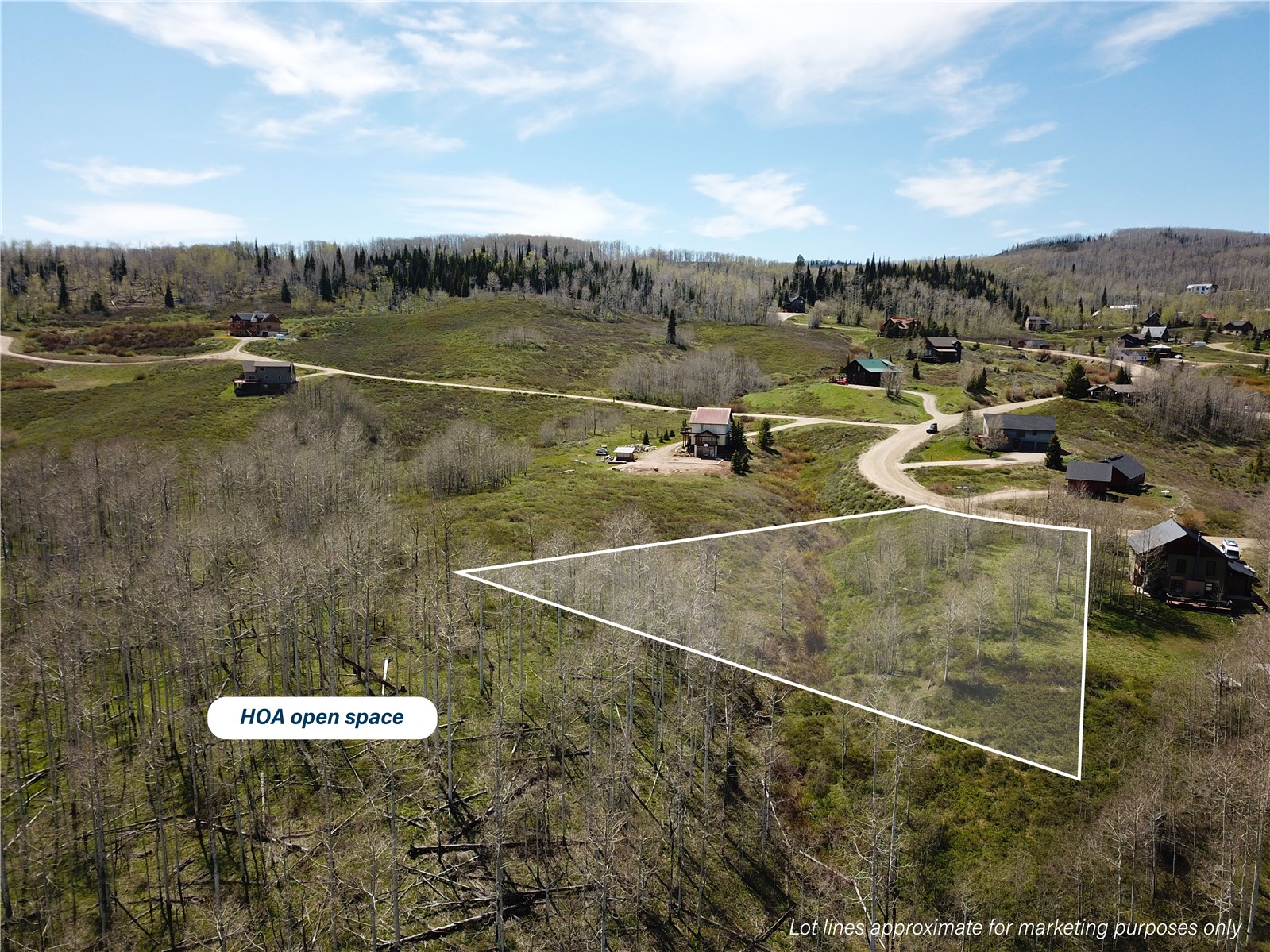 26925 Beaver Canyon Drive Clark CO 80428