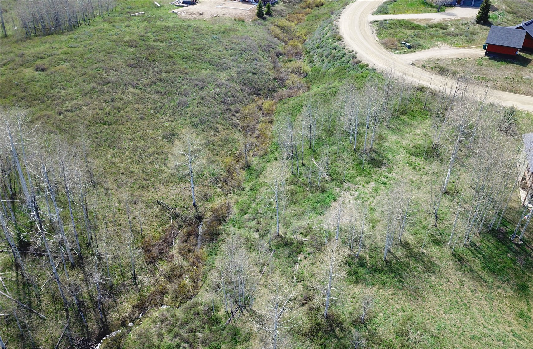 26925 Beaver Canyon Drive Clark CO 80428