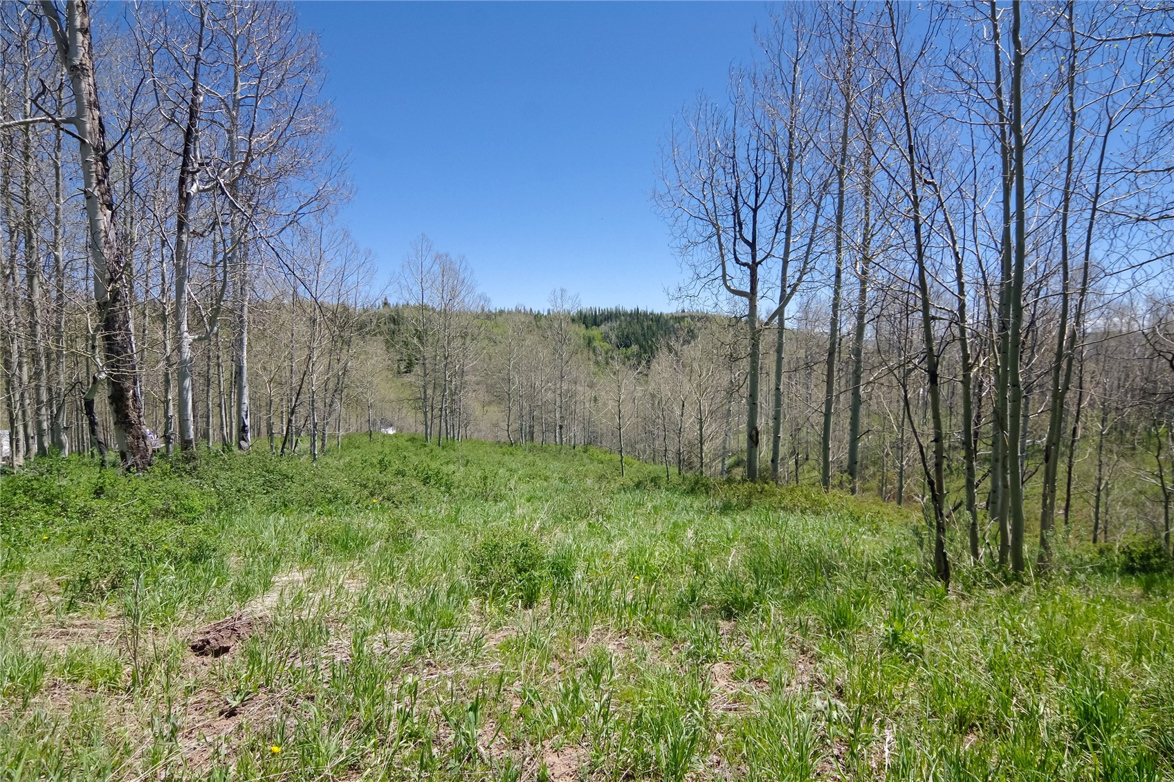26925 Beaver Canyon Drive Clark CO 80428
