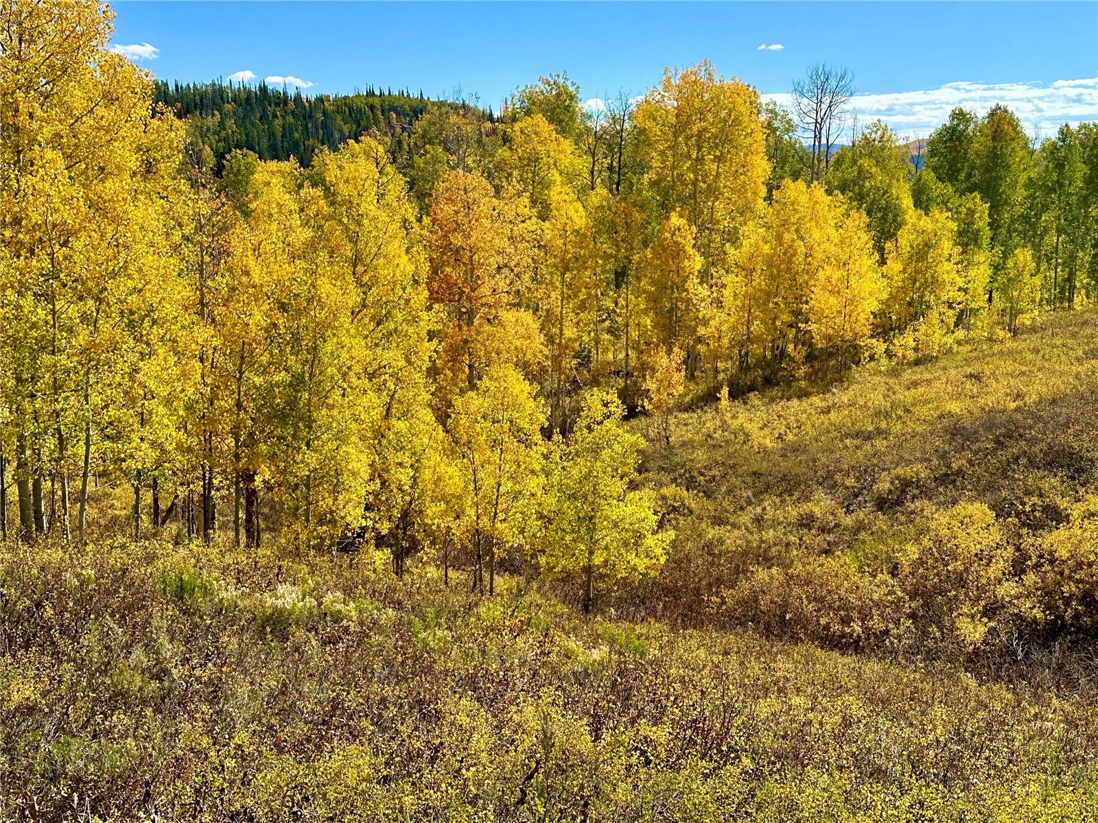 26925 Beaver Canyon Drive Clark CO 80428