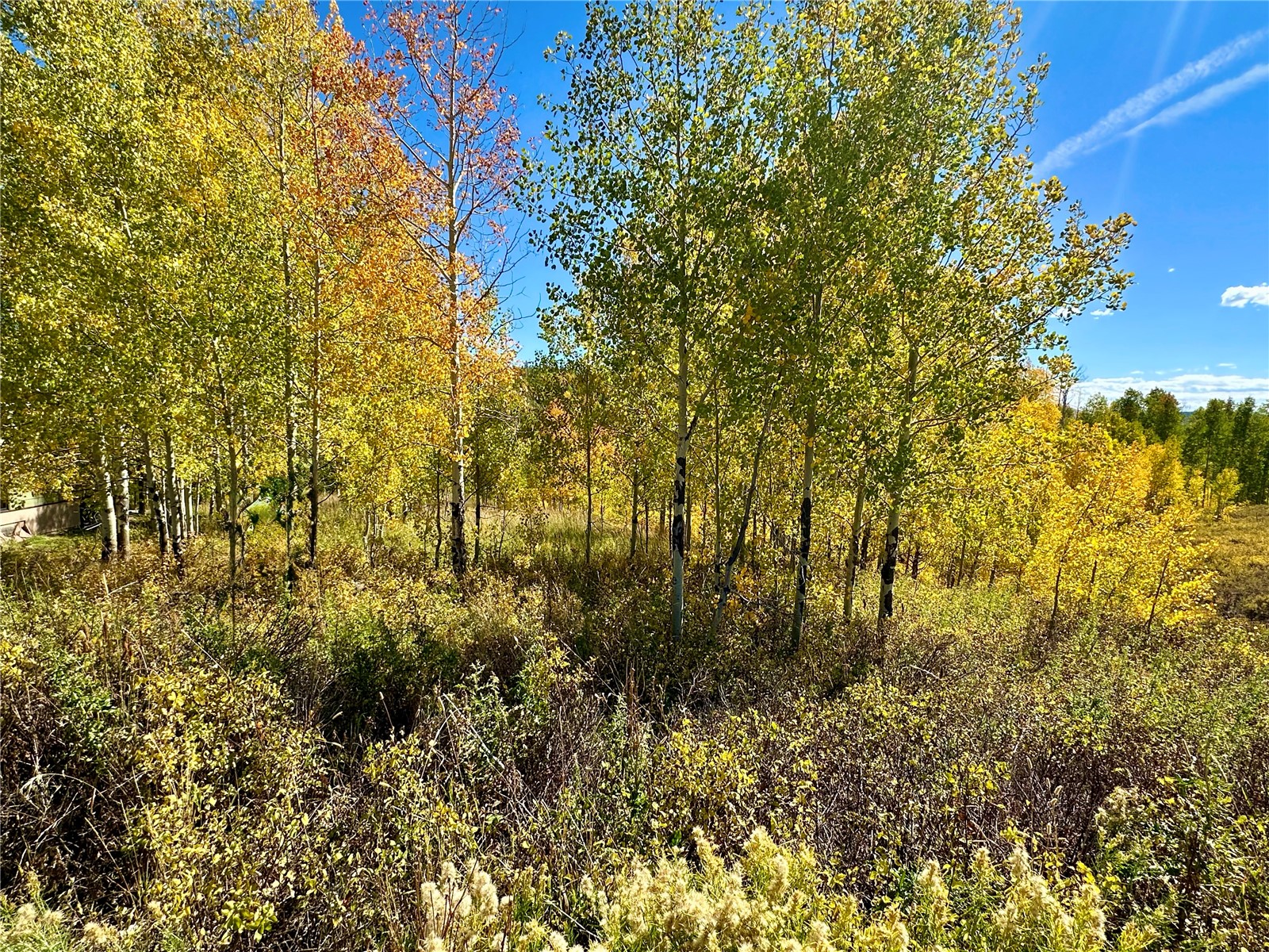 26925 Beaver Canyon Drive Clark CO 80428