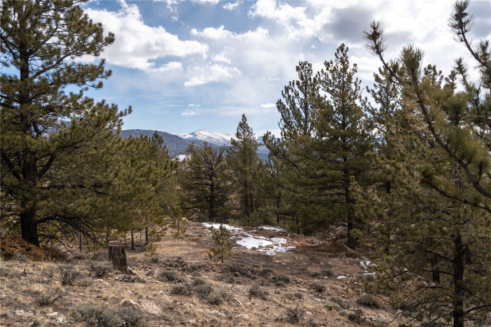 104 Northview Twin Lakes CO 81251