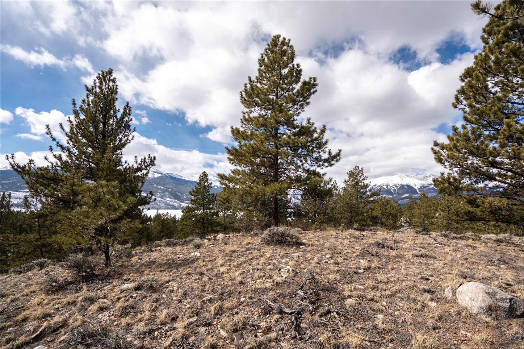 104 Northview Twin Lakes CO 81251