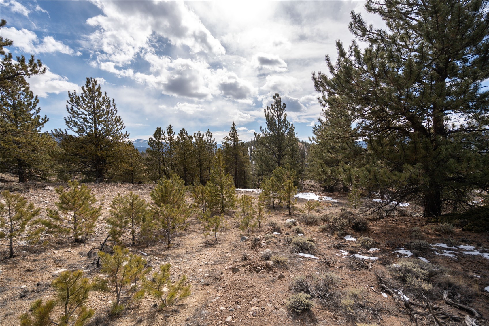 104 Northview Twin Lakes CO 81251