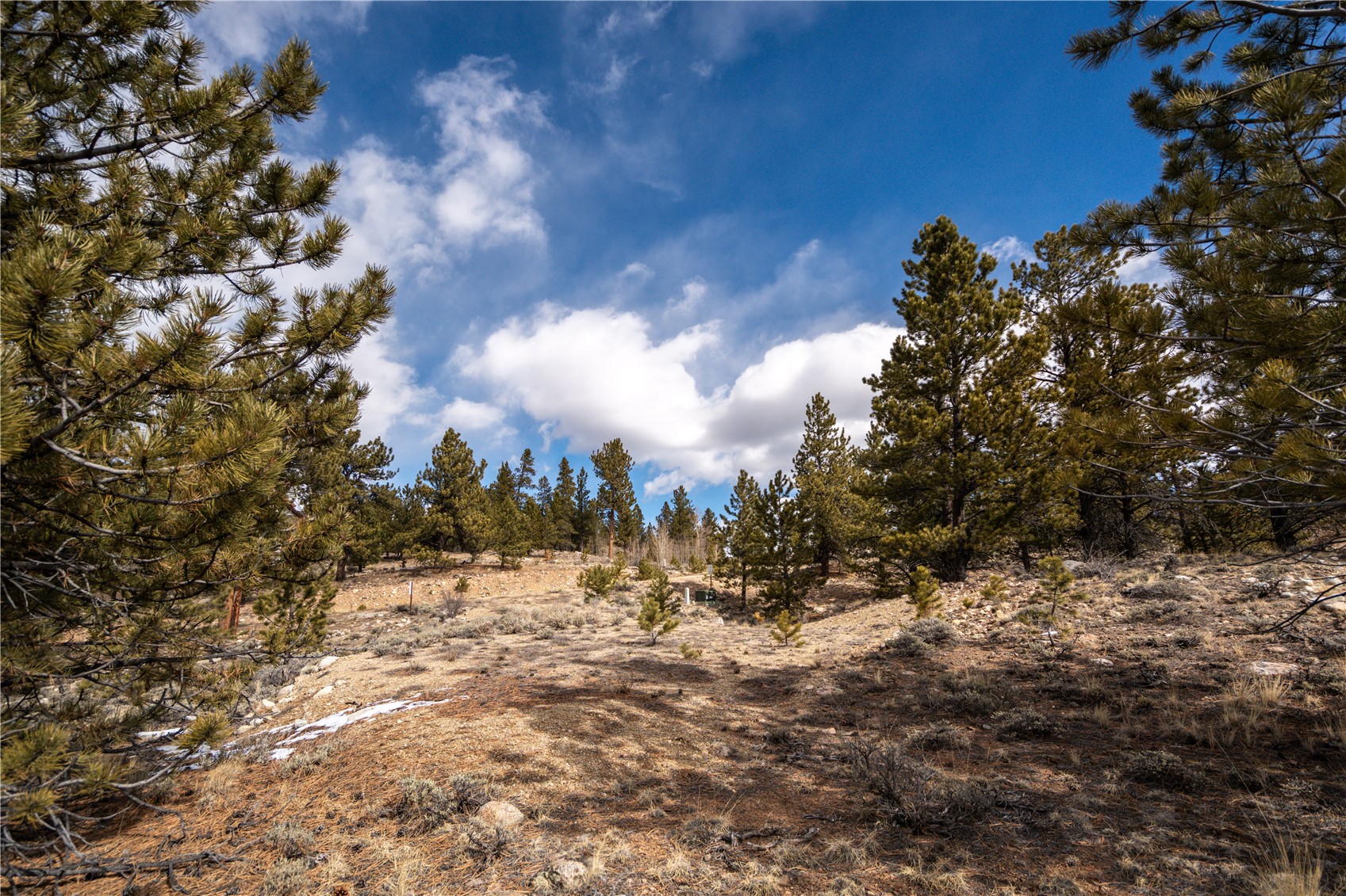 104 Northview Twin Lakes CO 81251