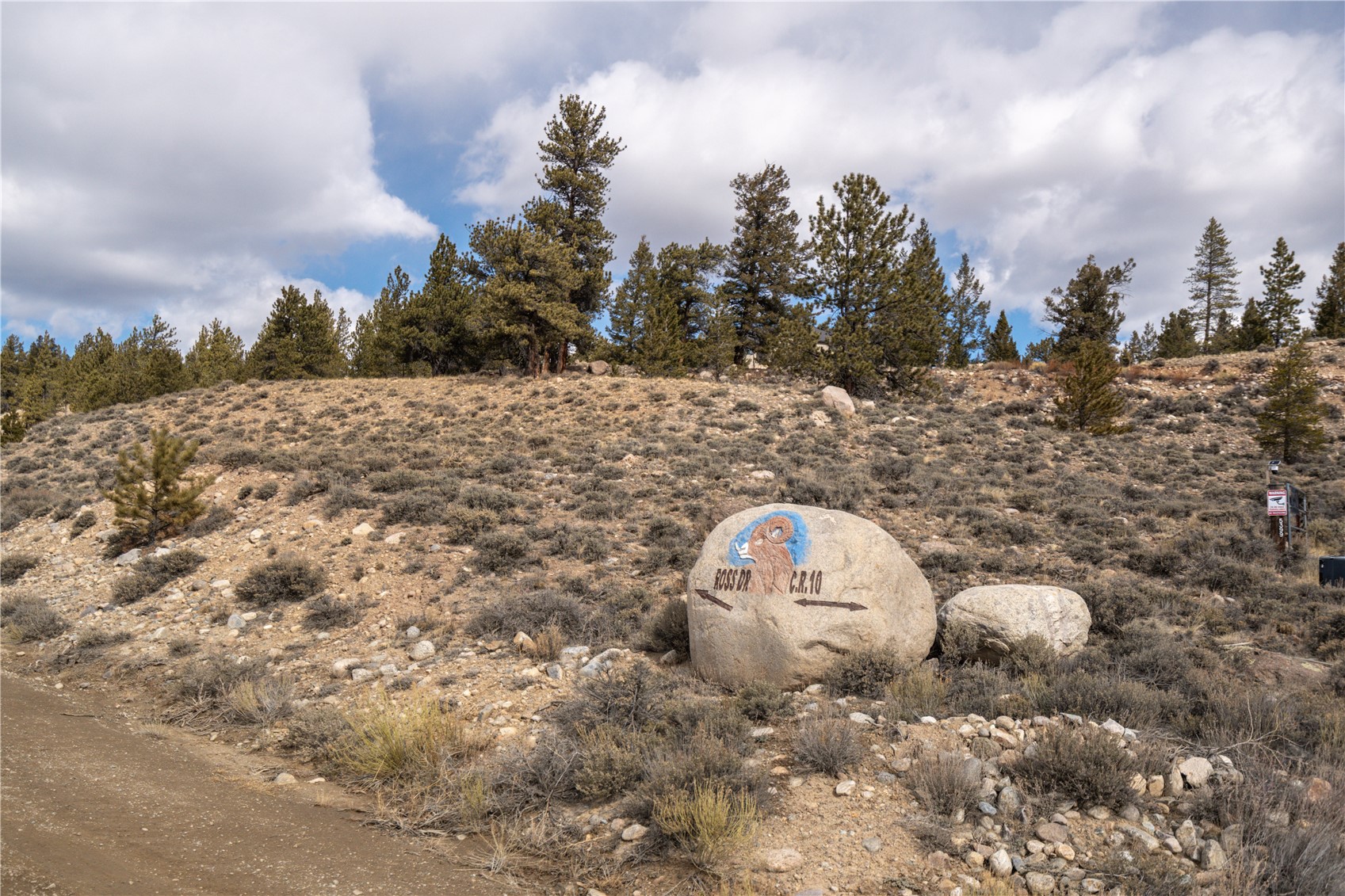 104 Northview Twin Lakes CO 81251