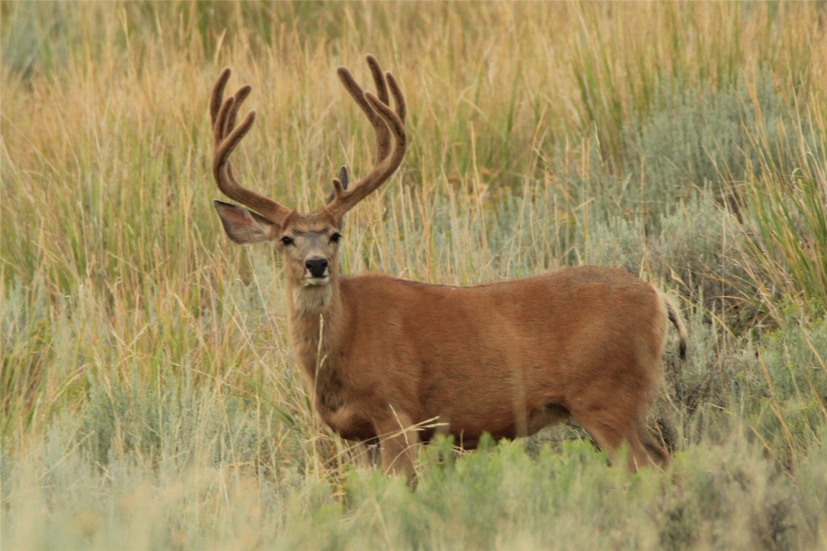 Tbd Highway 40 Craig CO 81625