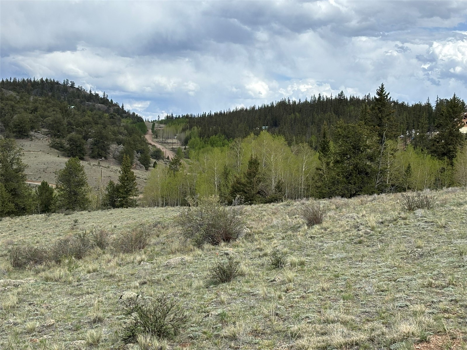 66 Chestnut Lane Como CO 80432