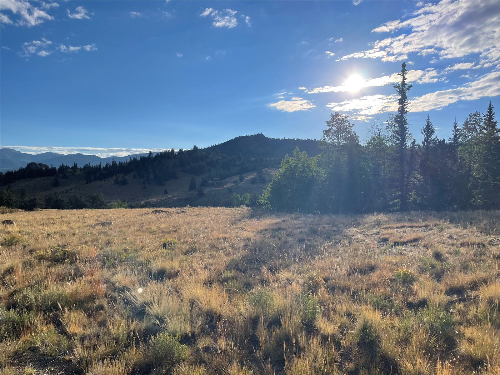 66 Chestnut Lane Como CO 80432