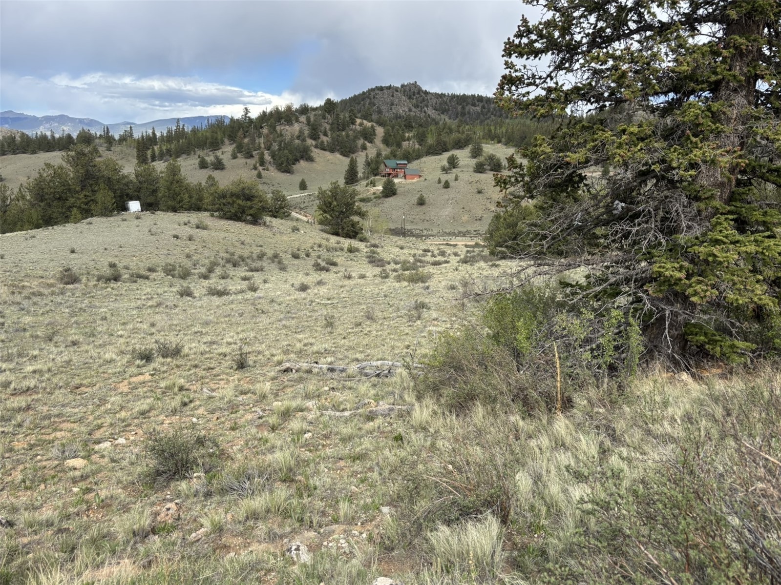 66 Chestnut Lane Como CO 80432
