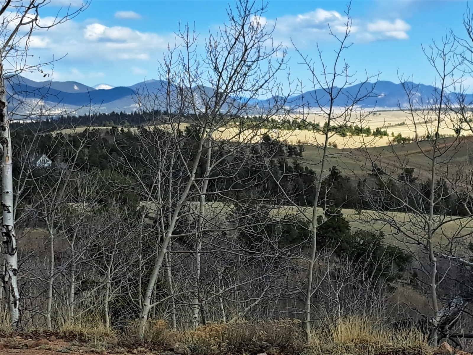 908 Raven Way Como CO 80432