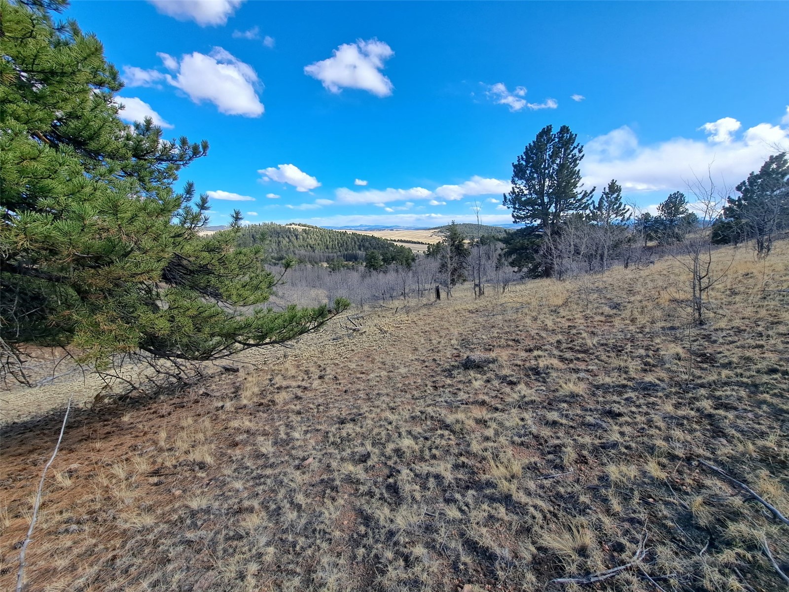 908 Raven Way Como CO 80432