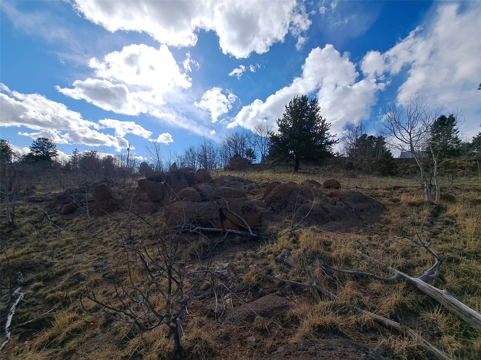 908 Raven Way Como CO 80432