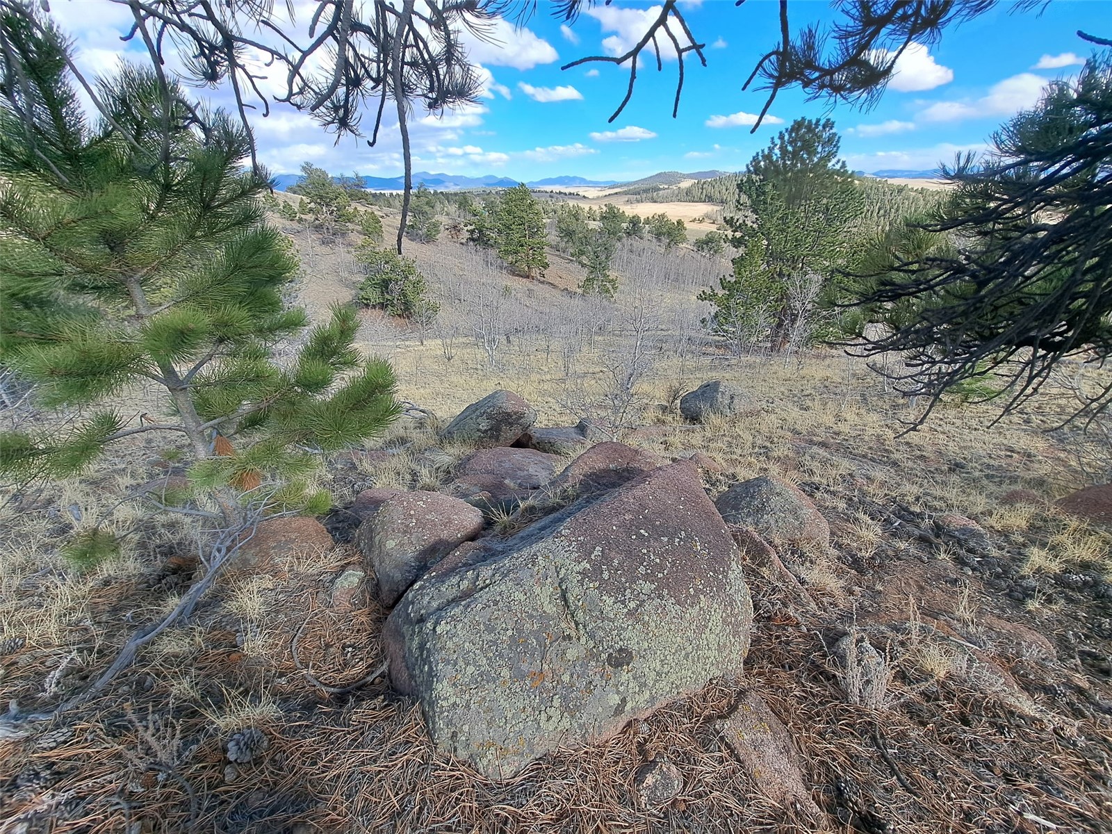 908 Raven Way Como CO 80432
