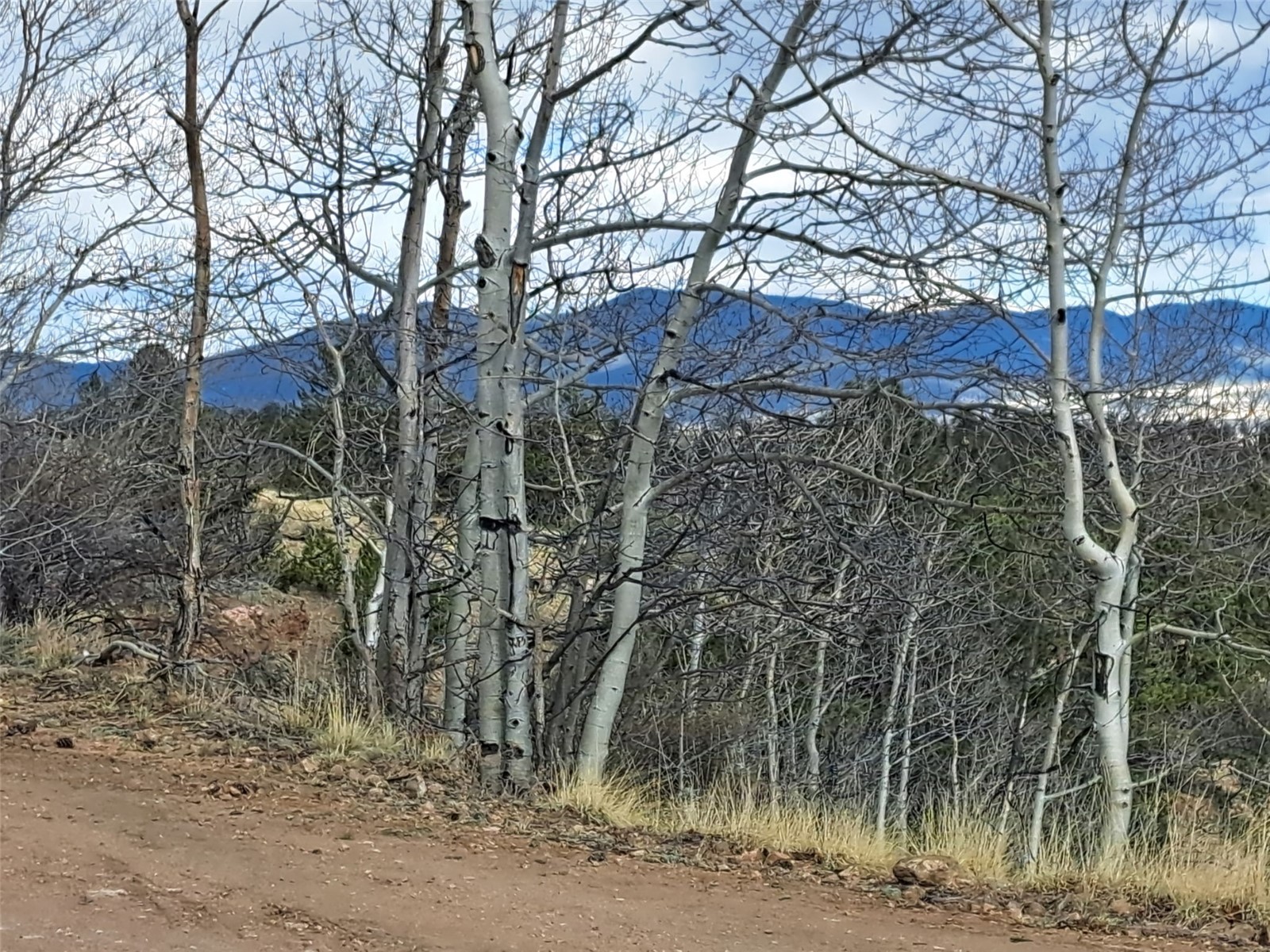 908 Raven Way Como CO 80432