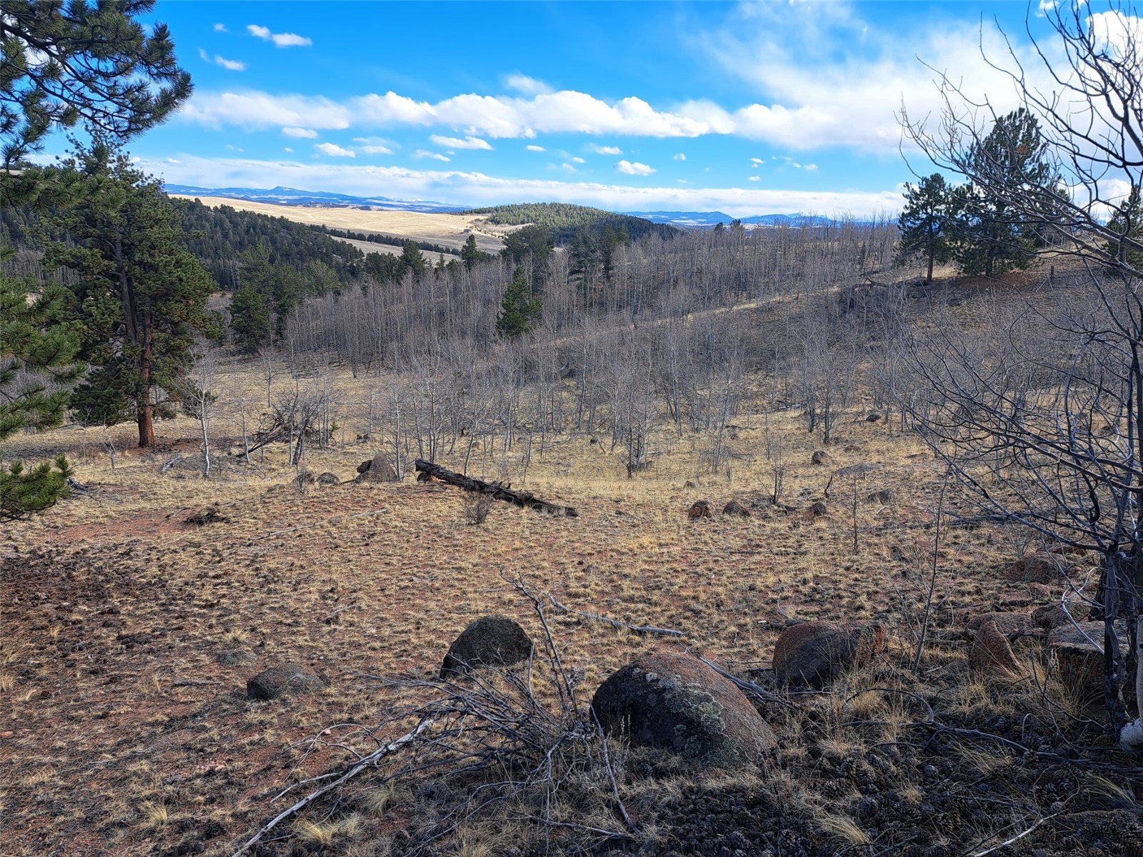 908 Raven Way Como CO 80432
