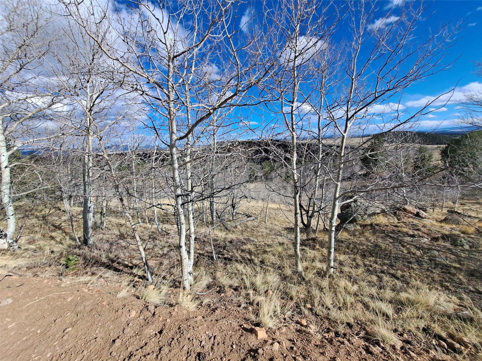 908 Raven Way Como CO 80432