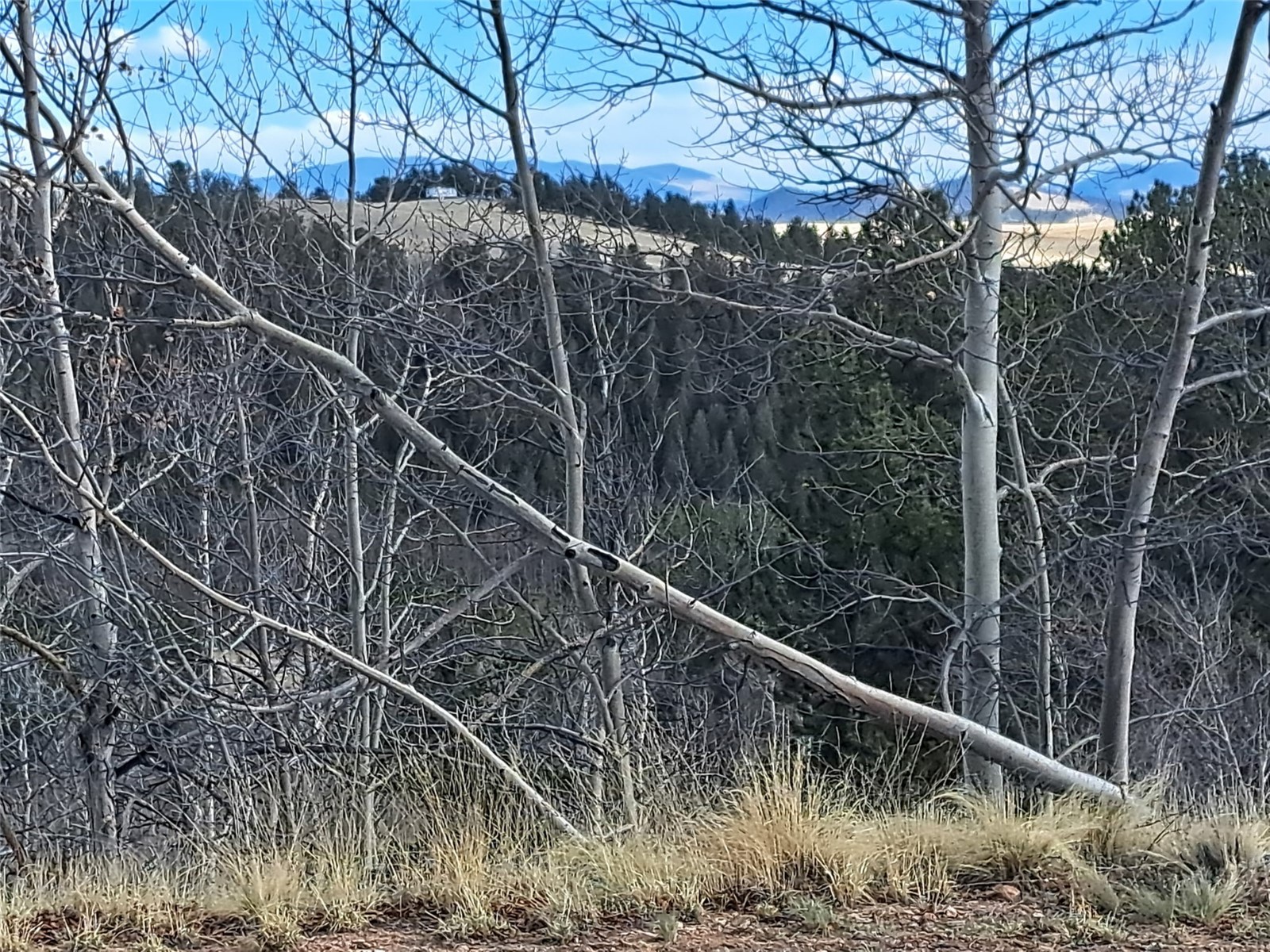 908 Raven Way Como CO 80432