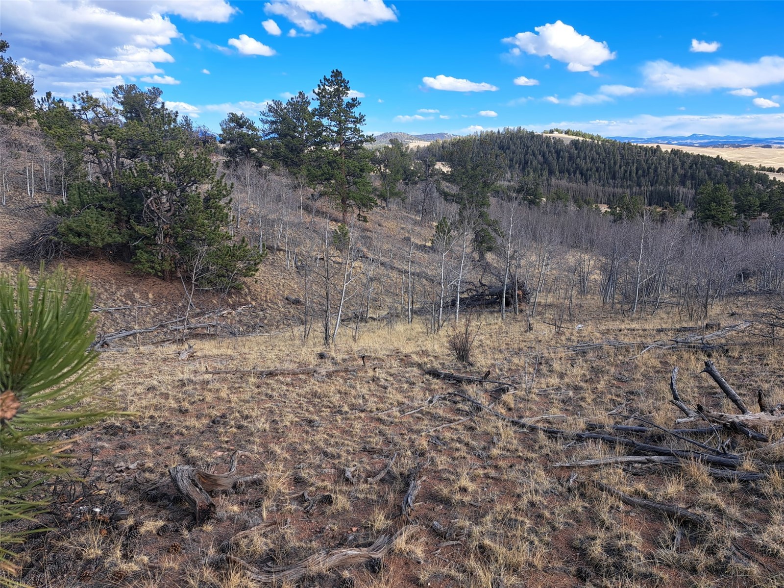 908 Raven Way Como CO 80432