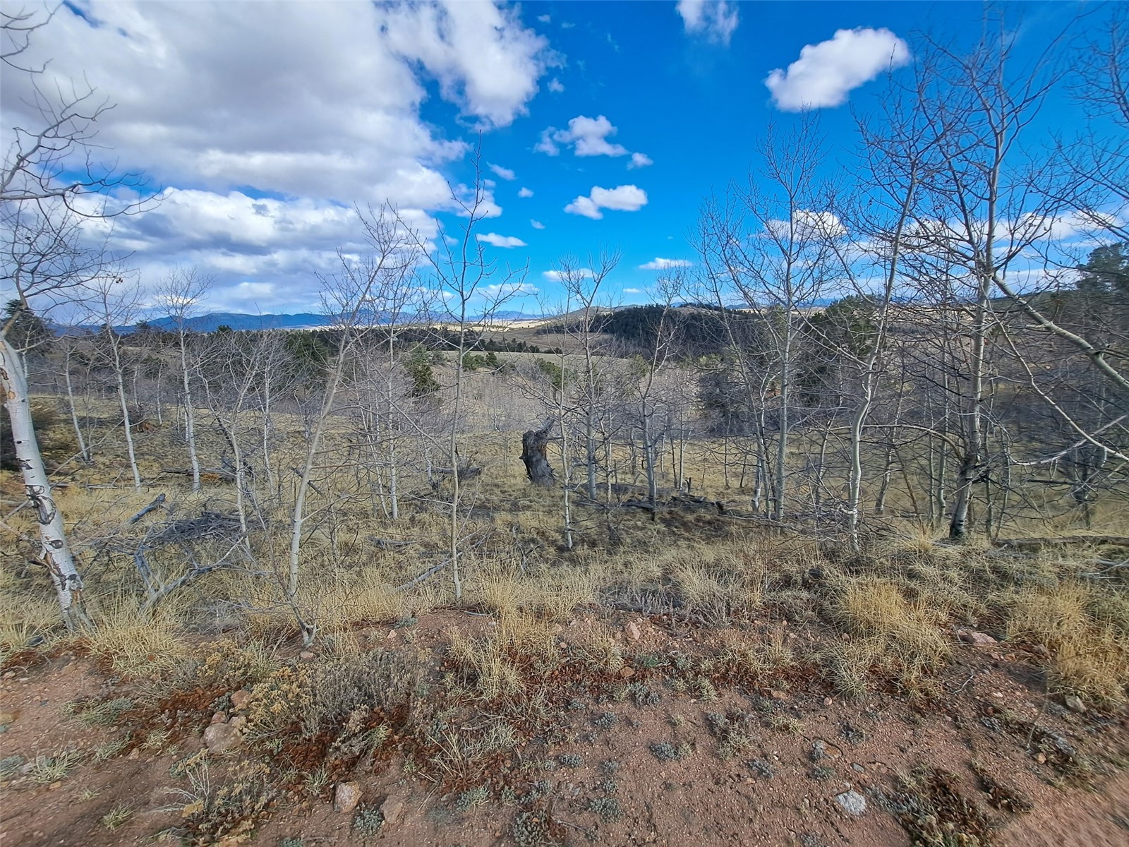 908 Raven Way Como CO 80432