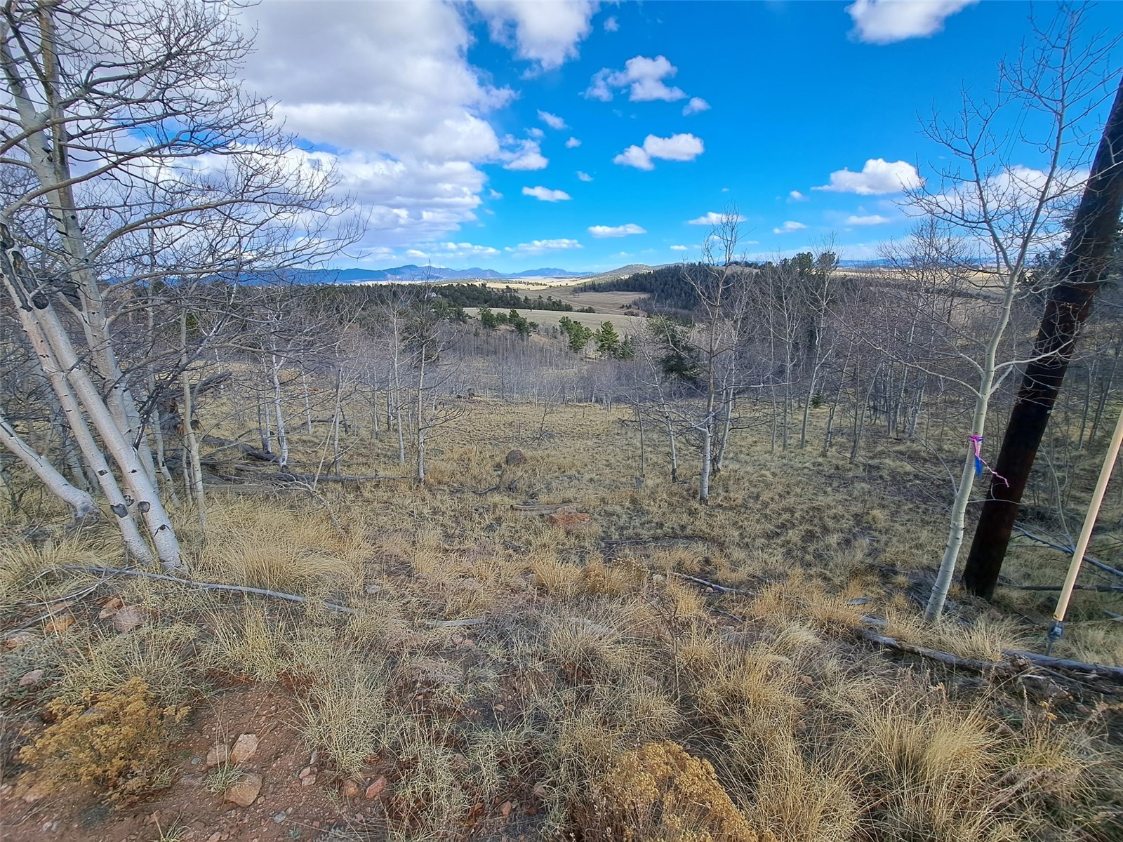 908 Raven Way Como CO 80432