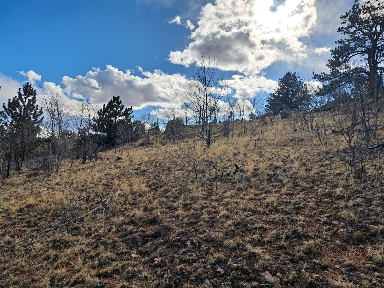 908 Raven Way Como CO 80432