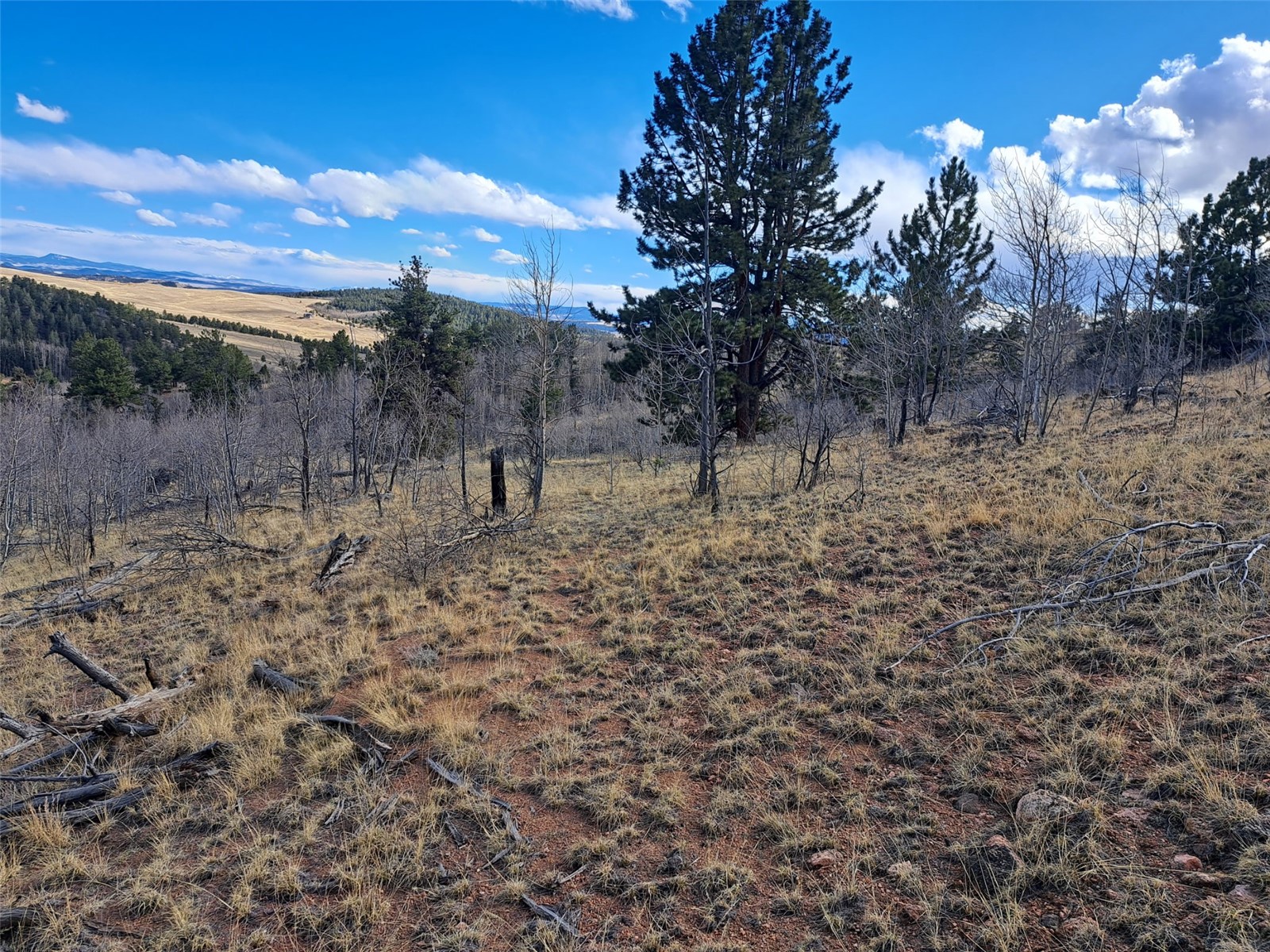 908 Raven Way Como CO 80432