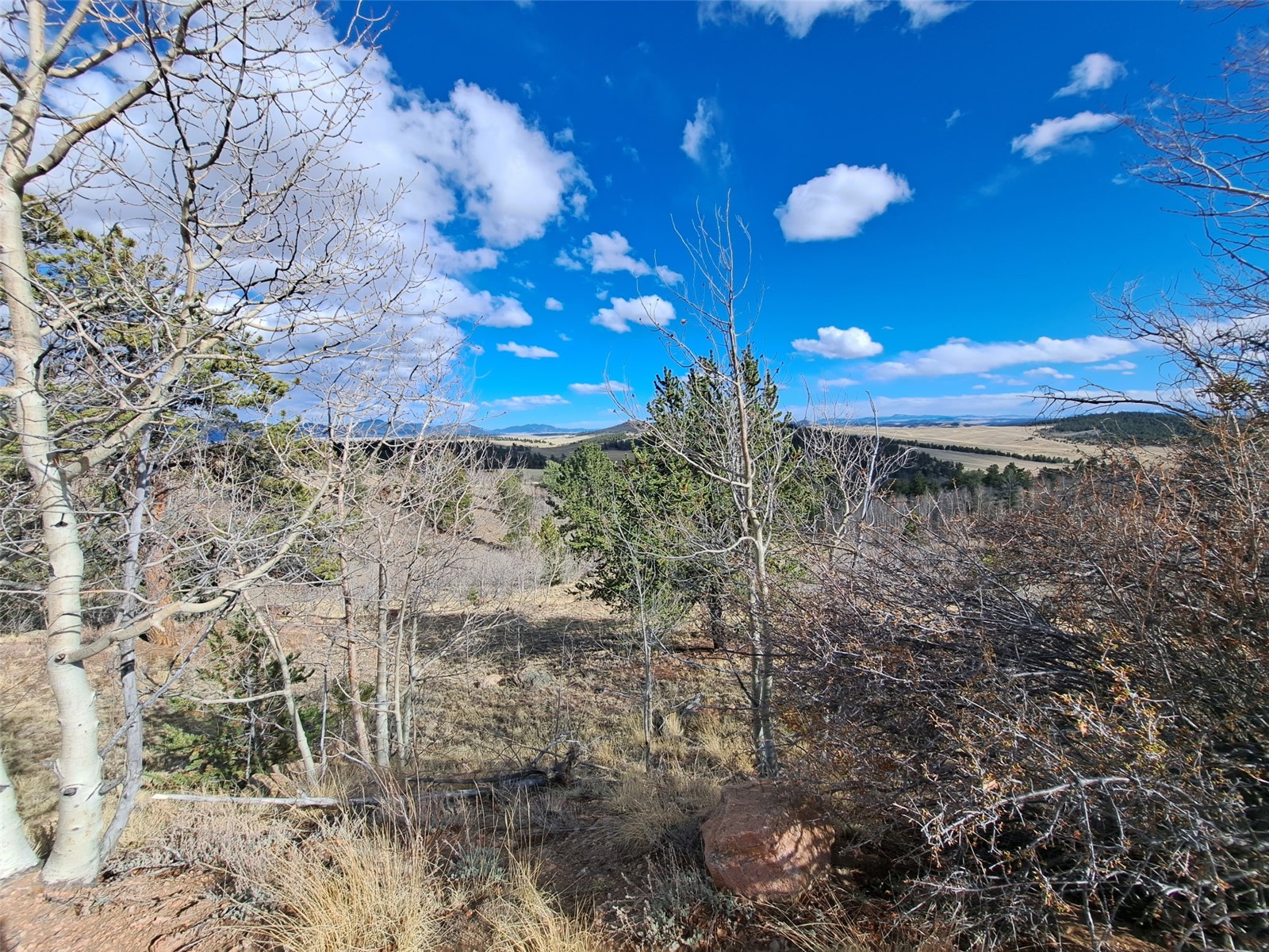 908 Raven Way Como CO 80432
