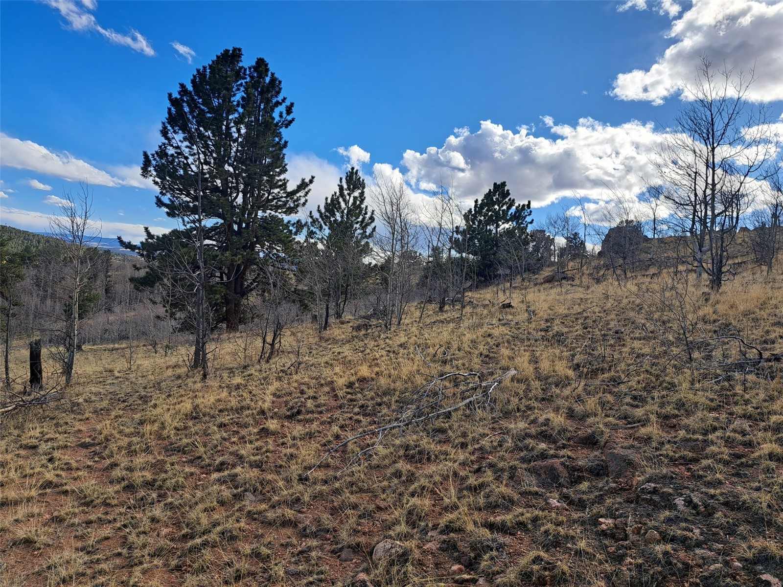 908 Raven Way Como CO 80432