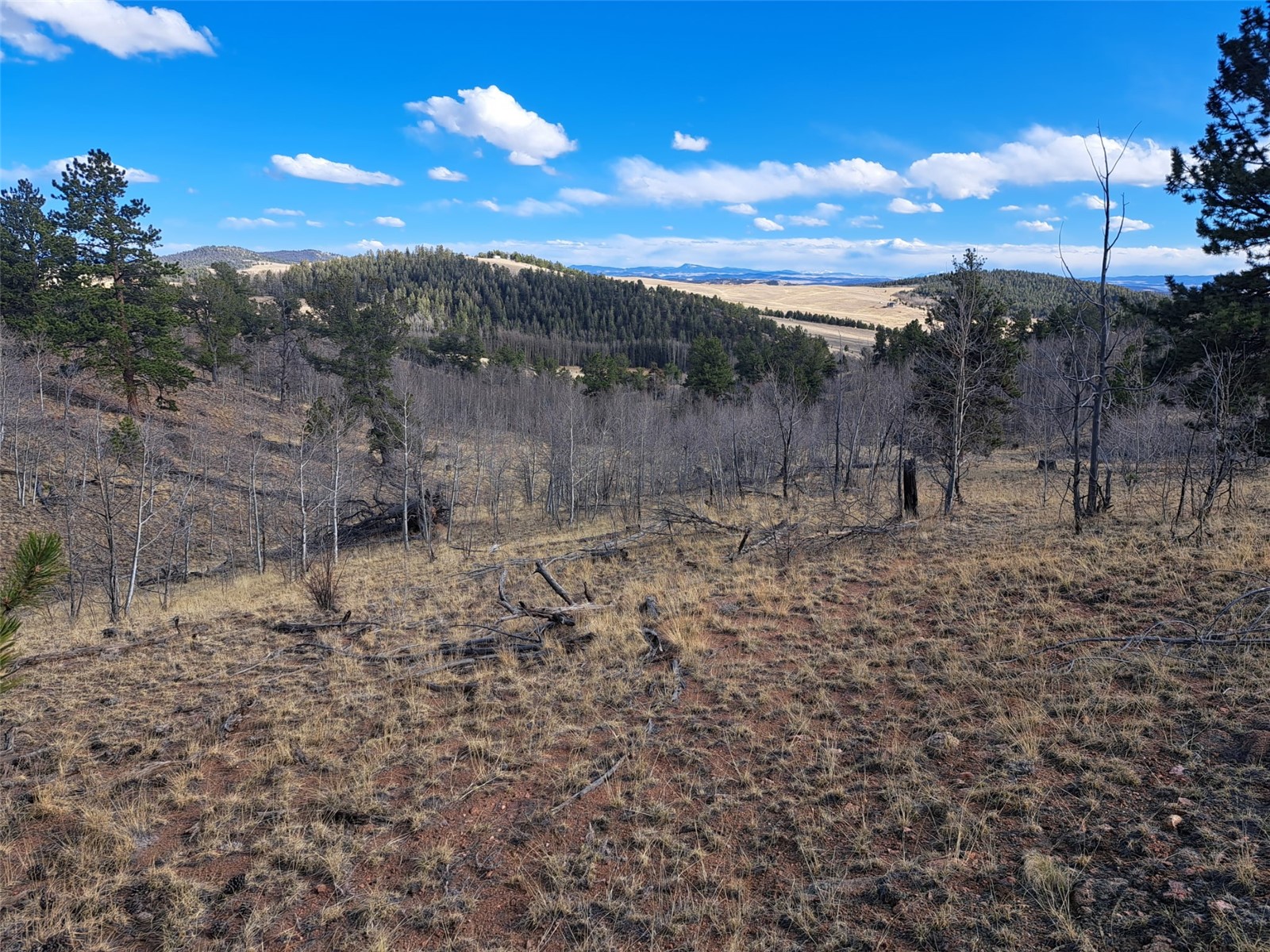 908 Raven Way Como CO 80432