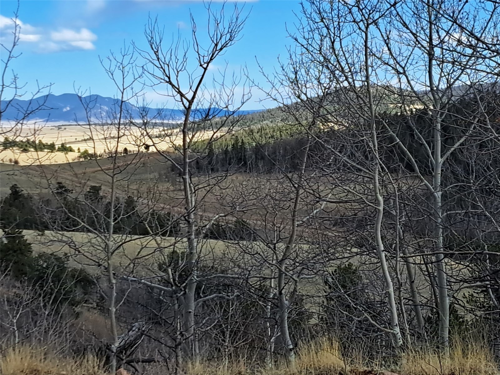 908 Raven Way Como CO 80432