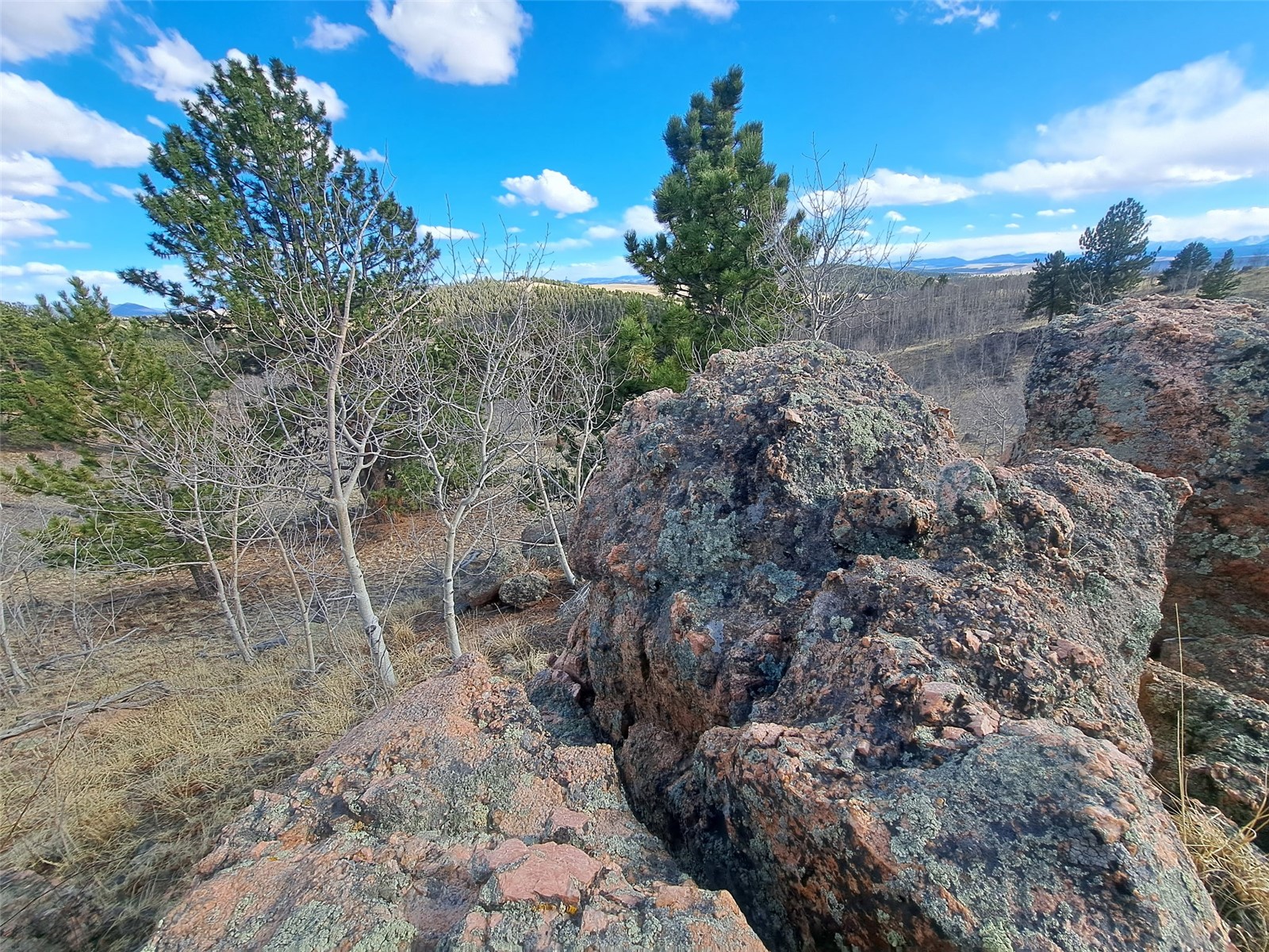 908 Raven Way Como CO 80432