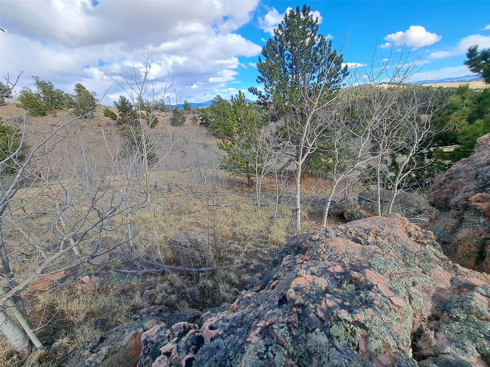 908 Raven Way Como CO 80432
