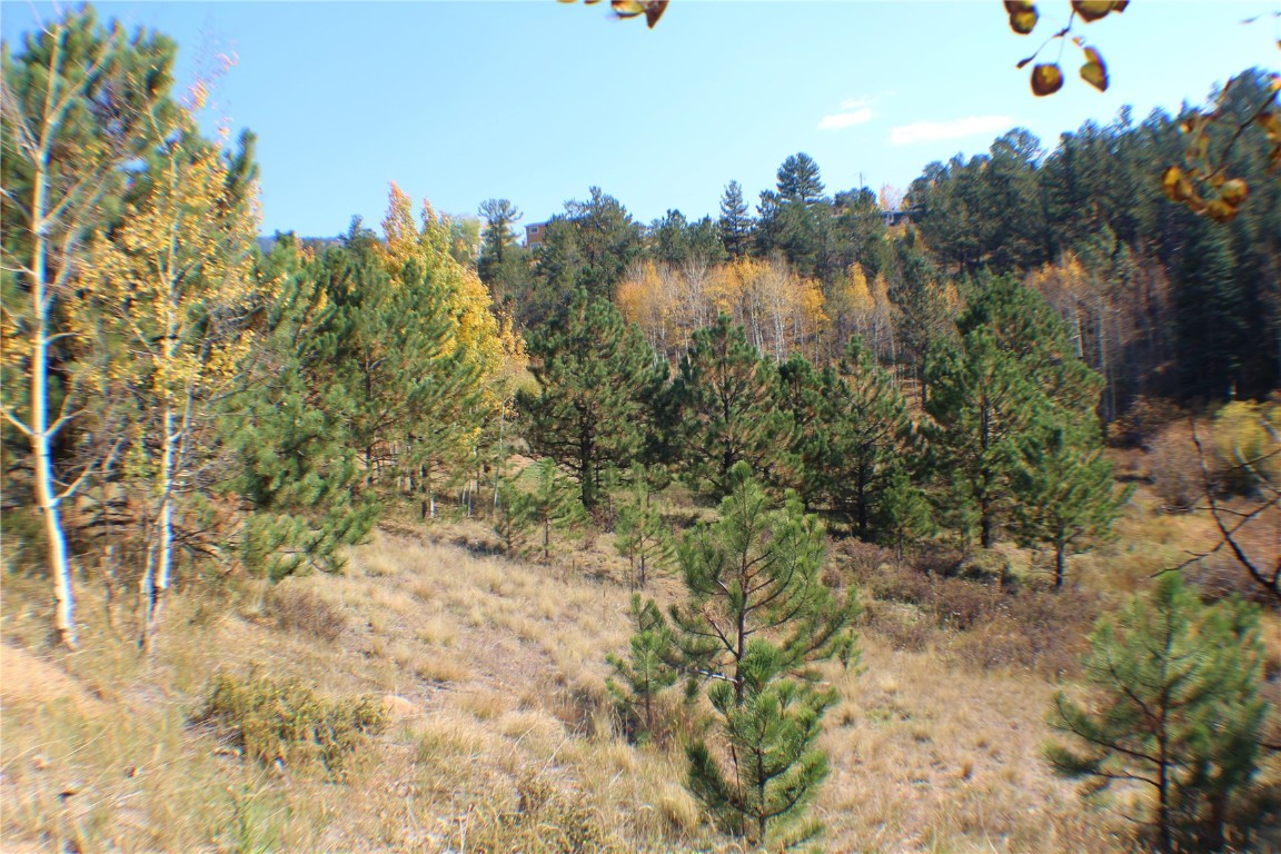 2020 Shelton Drive Bailey CO 80421