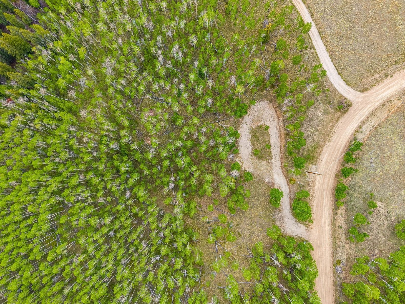 816 Little Baldy Circle Fairplay CO 80440
