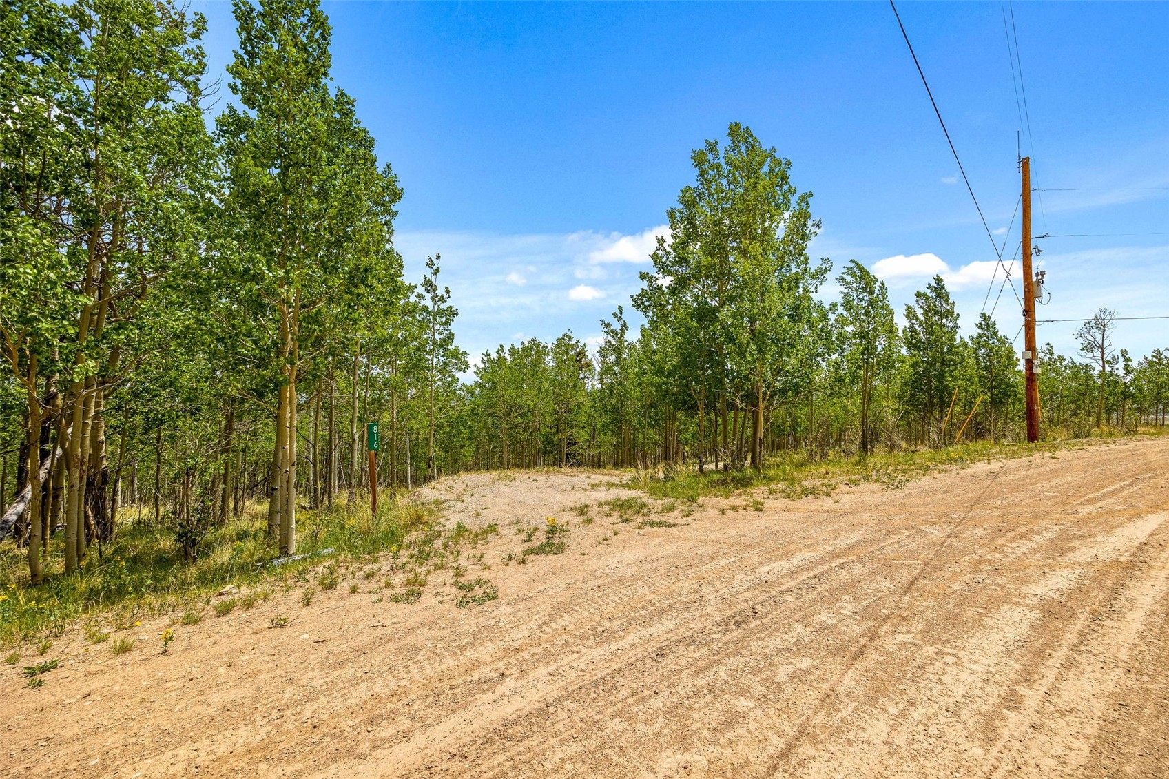 816 Little Baldy Circle Fairplay CO 80440